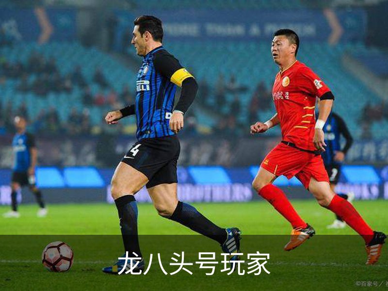 龙八头号玩家品牌故事
